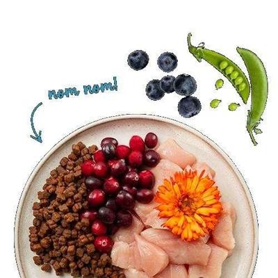 BOSCH Sanabelle Kitten Chicken with cranberries - droog kattenvoer - 2kg