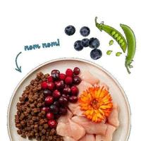 BOSCH Sanabelle Kitten Chicken with cranberries - droog kattenvoer - 2kg - thumbnail