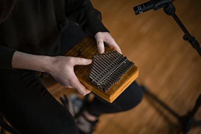 Ortega OKB3 Lizard Series Solid Golden Phoebe kalimba