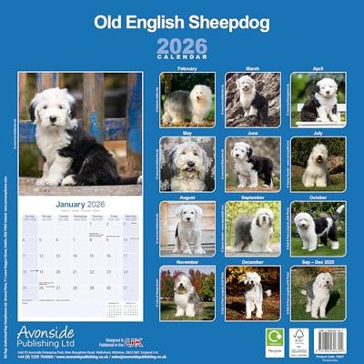 Old English Sheepdog Kalender 2026 Old English Sheepdog Kalender 2026