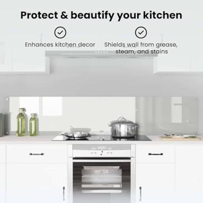 VidaXL Keuken achterwand 2 pcs doorzichtig 100 x 40 cm gehard glas VidaXL Keuken achterwand 2 pcs doorzichtig 100 x 40 cm gehard glas