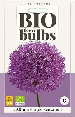Bio allium purple sensation 5 bollen Bio allium purple sensation 5 bollen