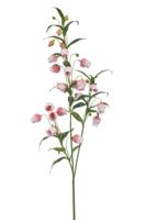 Sandersonia spray x3 lt pink 110 cm kunstplant Emerald - Emerald - thumbnail