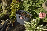 Hozelock superhoze city 7.5 meter - thumbnail