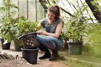 Elho green basics aardappel pot 33 cm living black - thumbnail