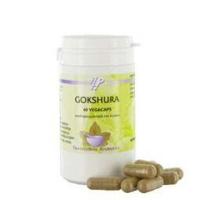 Holisan Gokshura Capsules 60st - thumbnail