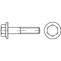 TOOLCRAFT TO-5391312 Zeskantbout M6 12 mm Buitenzeskant 500 stuk(s) - thumbnail