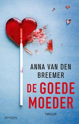 De goede moeder - Anna van den Breemer - ebook