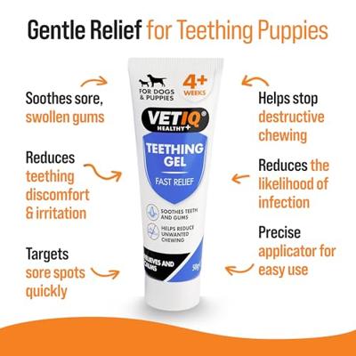 Puppy VetIQ tandgel, 50 g, kalmeert pijn in het tandvlees, vermindert ongewenst kauwen bij het tanden, bevat kamille, pepermunt- en kruidnagelolie, voorkomt de adem van honden, puppy's vanaf 4 weken