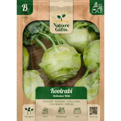 Koolrabi delikatess witte 100st
