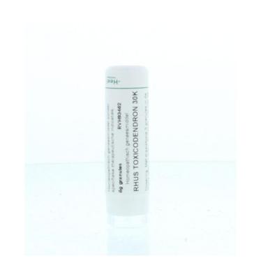 Homeoden Heel Rhus toxicodendron 30K 6 Gram