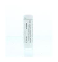 Homeoden Heel Rhus toxicodendron 30K 6 Gram - thumbnail