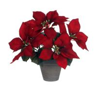 Decoratieve plant Mica Decorations Rood PVC - thumbnail