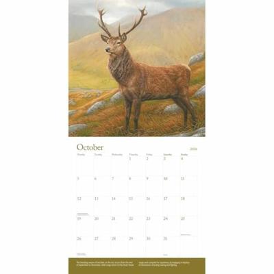 British Wildlife Kalender 2026 British Wildlife Kalender 2026