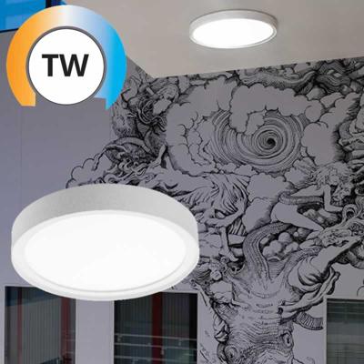 SG rond armatuur Disc 290 wit Tunable LEDDim 2700-6500K 17W 1890 lumen dimbaar lichtkleur instelbaar