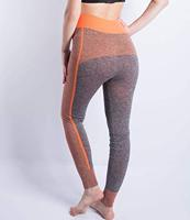 ABA Slangklem 226-256mm - thumbnail