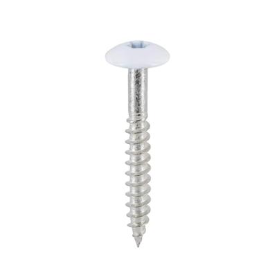 Torx rvs schroef 4.8 x 38 mm 100 st. Zwartgrijs