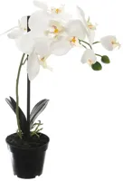 Pure Royal kunstplant orchidee 40cm crème - thumbnail