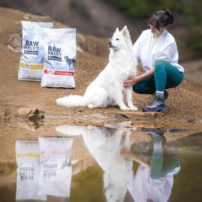 RAW PALEO Ultra Medium&Large Adult Kalkoen - droogvoer voor honden - 2 kg