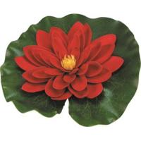 Ubbink Waterlelie 14cm rood - thumbnail
