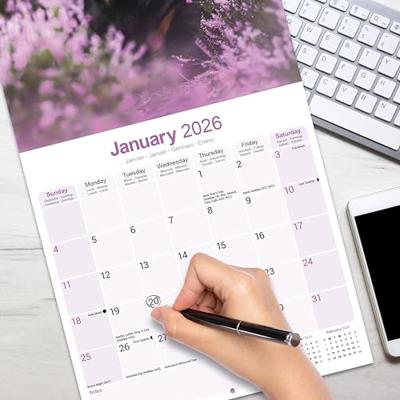 Rottweiler Calendar 2026 Square Dog Breed Wall Calendar - 16 Month
