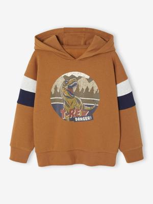 Sweater met capuchon met geplaatste print pecannoot