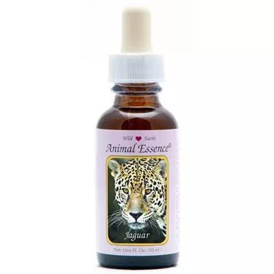 Animal Essences Jaguar (jachtluipaard) 30 Milliliter Animal Essences Jaguar (jachtluipaard) 30 Milliliter