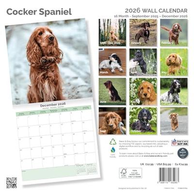 Engelse Cocker Spaniel Kalender 2026 Engelse Cocker Spaniel Kalender 2026