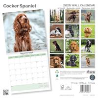 Engelse Cocker Spaniel Kalender 2026 - thumbnail