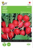 Radijs Saxa 2 - thumbnail