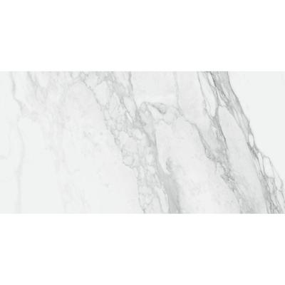 Vloertegel Energieker Ekxtreme Glans 60X120 cm Bernini Energieker