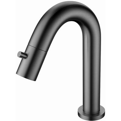 RVS Gunmetal Grijze Fonteinkraan voor Koudwater met PVD-coating