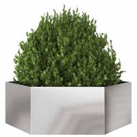 VidaXL Plantenbak zeshoek 138x120x45 cm roestvrijstaal - thumbnail