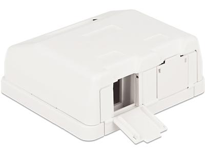 DeLOCK Keystone Surface Mounted Box 2 Port behuizing DeLOCK Keystone Surface Mounted Box 2 Port behuizing