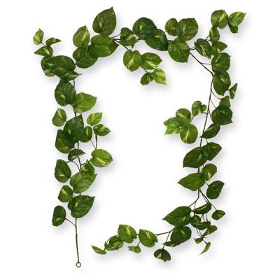 Scindapsus kunst Guirlande RT 180cm Scindapsus kunst Guirlande RT 180cm