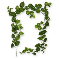 Scindapsus kunst Guirlande RT 180cm - thumbnail