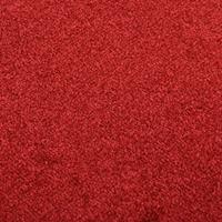 Deurmat 60x80 cm rood - thumbnail