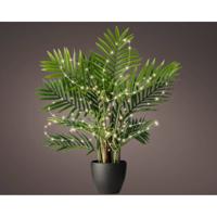 Microled plant bo l80 cm zilver/wit kerstverlichting Lumineo - Lumineo - thumbnail
