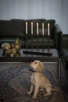 Konstsmide 3521-780TR Staande lamp Glimlamp Warmwit Zwart Konstsmide 3521-780TR Staande lamp Glimlamp Warmwit Zwart