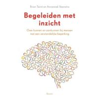 Begeleiden met inzicht (Paperback) - thumbnail