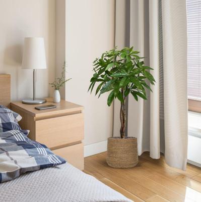 Pachira bal kunstplant op stam 75cm Pachira bal kunstplant op stam 75cm