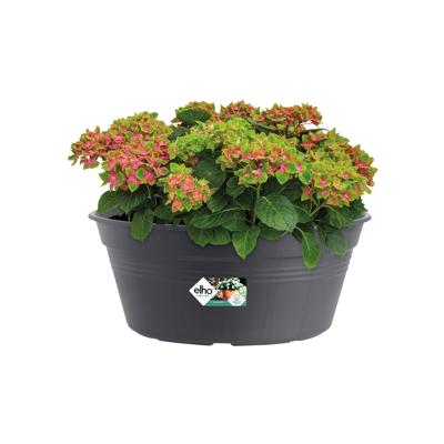Elho Green Basics Plantenschaal Zwart Ø33cm Elho Green Basics Plantenschaal Zwart Ø33cm