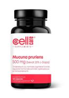 Mucuna pruriens 500mg (25% L-dopa) - thumbnail