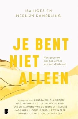 Je bent niet alleen - Isa Hoes, Merlijn Kamerling - ebook