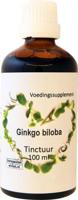 Therapeutenwinkel Ginkgo biloba tempelboom 100 Milliliter - thumbnail