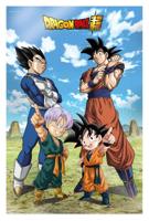 Dragon Ball Super 3D Poster Battle of Gods Goku Vegeta Family 38 x 58 cm - thumbnail