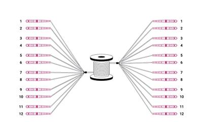 Digitus DK-2433CU030BK-BBB Glasvezel Optische vezel Aansluitkabel 30 m Zwart [12x LC-/UPC-stekker - 12x LC-/UPC-stekker] 50/125 µ Multimode OM4