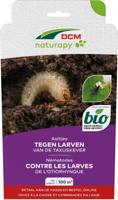 Aaltjes tegen larven van de taxuskever 100 m2 DCM Natuurlijke Vijanden - Dcm natuurlijke vijanden - thumbnail
