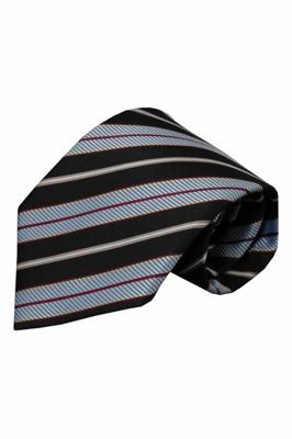 Alberto Vincelli Zwarte zijden stropdas Fisole 01