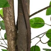 Kunst Ficus Plant 1260 bladeren 200 cm groen - thumbnail